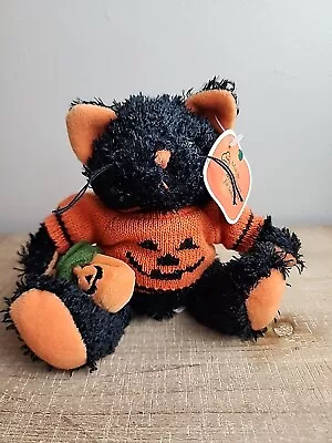 March Of Dimes Pumpkin Kittykat Bean Bags For Babies 2000 Plushland Black Cat • $9.99