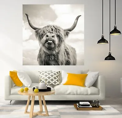 £16 • Buy Grey Highland Cow Artist Canvas Paper Picture Print Art Home