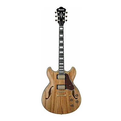 Ibanez AS Artcore Expressionist 6 String Electric Guitar (Natural) • $685.99