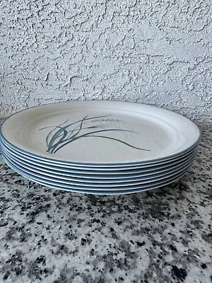 Set Of 4 Corelle Coastal Breeze Rimmed Blue Green Wheat 8  Inch Luncheon Plates • $43.20