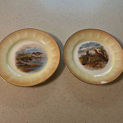 Two 1940’s Advertising Plates 8” Birds Bettencourt Furniture Co. • $17.13