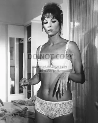 Elsa Martinelli Italian Actress And Model - 8x10 Publicity Photo (az958) • $8.87