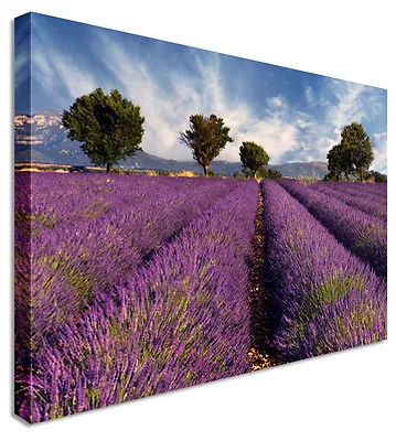 Lavender Field Floral Flower Canvas Wall Art Picture Print • £21.98