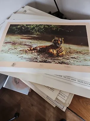 David Shepherd Limited Edition Signed Print  Indian Siesta  - TIGERS • £95