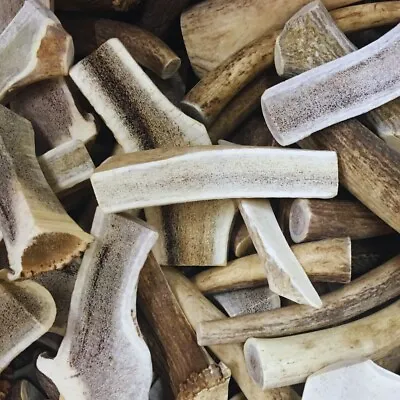 Bulk - Split Elk Antler Dog Chews - Sold By The Pound - A Grade Antlers For Dogs • $39.99