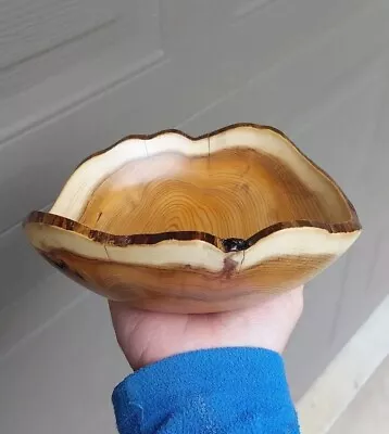 Pacific Yew Bowl W/ Natural Edge! 🔥 Salvaged Beauty! ~ Dovecote ~ (724)  • $64.99