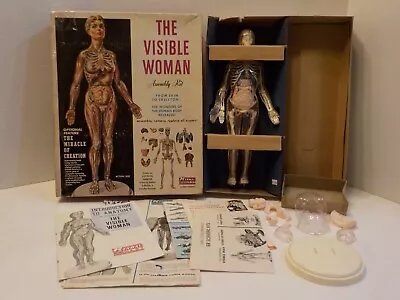 N G0406 Vintage RENWAL “THE VISIBLE WOMAN” Plastic Model Kit • $29.99