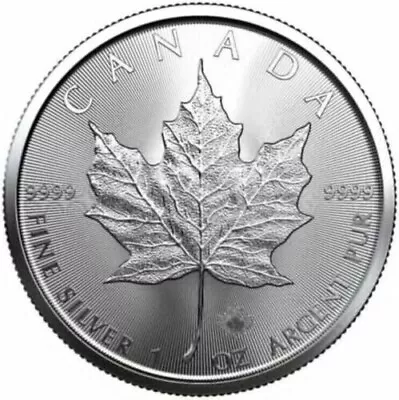 2023 .1 Oz Canadian Silver Maple Leaf $5 Coin 9999 Fine Silver BU-US • $24.99