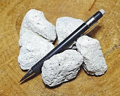 Pumice - Teaching Student Specimens Of Typical White Pumice  UNIT OF 5 SPECIMENS • $4.60