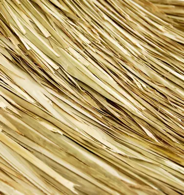 $110.99 • Buy 2-30 X10' Tiki Palapa Resort Grade Palm Grass Thatch