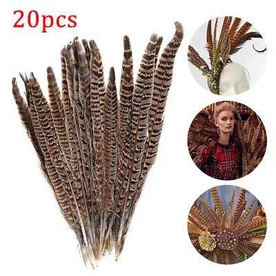 20Pcs Natural Pheasant Tail Feathers 10-12 Inch Long DIY Craft Party 25-30cm Set • £11.59