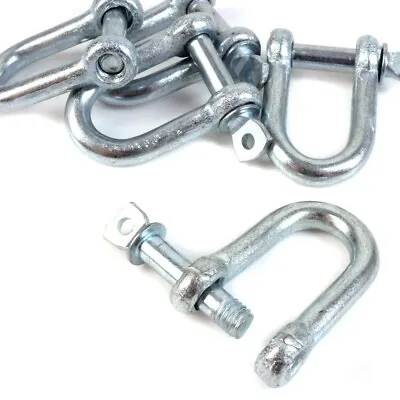 5x HOISTING D SHACKLES Heavy Duty Lifting Rigging Winching Boat Secure Screw Pin • £6.02