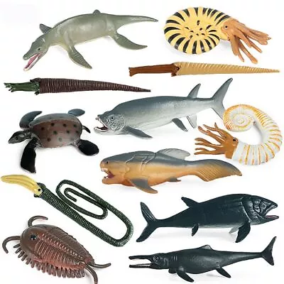 Marine Organism Models Simulation Sealife Nautilus Turtle Shark Seals Figurines • $19.26