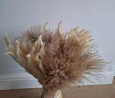 32 Stems Natural Dried  Pampas Grass Reed Flowers Approx 65cm Length (Y9V) • £5.99