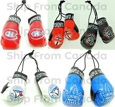 High Quality Canadian Teams MINI BOXING GLOVES - Rear View Mirror Gloves - New • $5.99