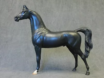 Peter Stone * Halik * Black Arabian Stallion 1 Of 50 Traditional Model Horse • $573.18