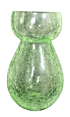 Vintage Light Green Crackle Glass Hyacinth Or Plant Sprouting Container Vase • $19.99