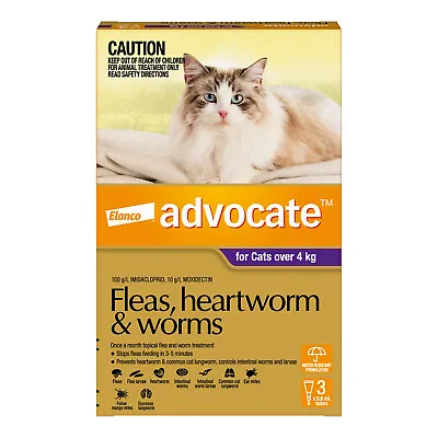 Advocate For Large Cats Over 4kg 3 Pack • $46.99