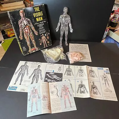 RENWAL THE VISIBLE MAN Model Kit 800:498 Unassembled With Instructions & Box • $29