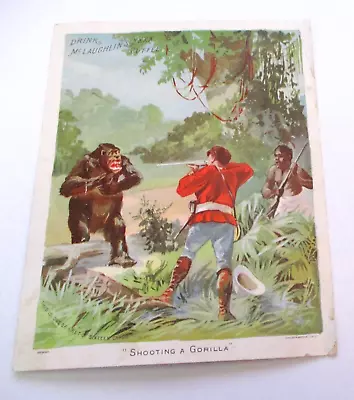 ANTIQUE McLAUGHLIN'S XXXX COFFEE ADVERTISING TRADE CARD ~  SHOOTING A GORILLA  • $5