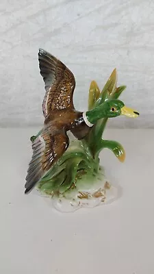 Vintage Grafenthal Mallard In Flight Duck Figurine Ornament 18cm • £9.99