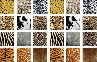 Animal Fur Pattern Cake Topper Edible Party Decor Gift Muffin Cupcake Zebra • $8.54