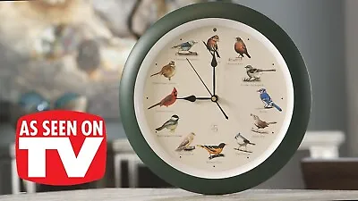 The Original Singing Bird Hanging Wall Sound Clock 13 Inch Green-NEW-FREE SHIP • $33.99