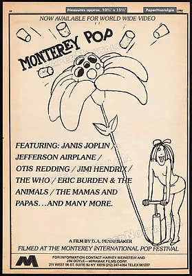 MONTEREY POP Festival__Original 1984 Trade AD Film Promo / Poster__Janis Joplin • $39.99