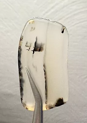 Cool Old Stock Polished Montana Moss Agate Slab Grandpa’s Collection 1960’s • $22