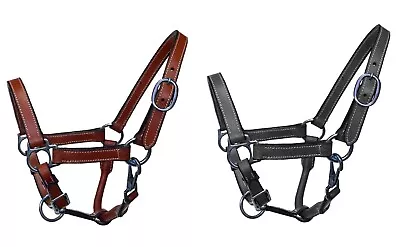 Equitem Mini/Miniature Size Leather Halter With Steel Plated Hardware • $23.99