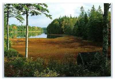 Postcard Pretty Marsh Mount Desert Island Maine ME K10 • $2.99