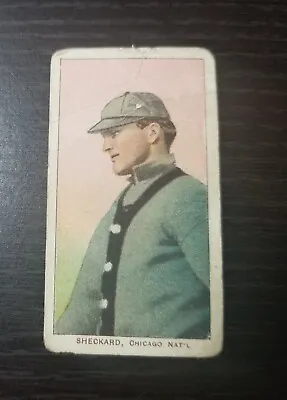 1909 T206 RARE HINDU Back Jimmy Sheckard No Glove Showing Chigago Cubs • $599.99