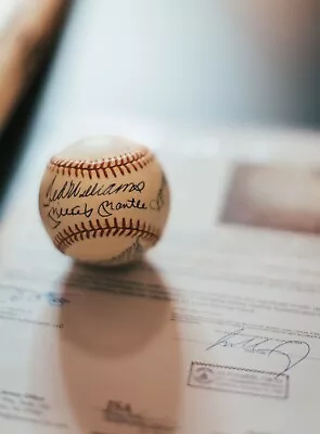 500 HR Club Signed Baseball (11 Sigs) Mickey Mantle Ted Williams “Sweet Spot”JSA • $2699.10