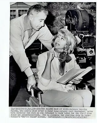 1965 Vintage Photo  Peyton Place  Director Ted Post Actress Dorothy Malone Poses • $18.88