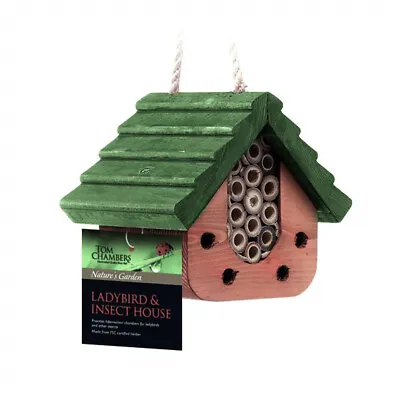 Tom Chambers Ladybird & Insect Garden Bug House • £11.99