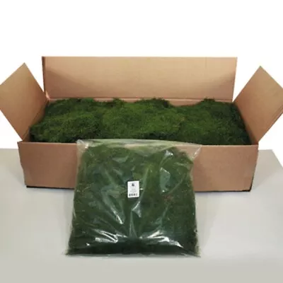 Vickerman Box Green Moss Sheet - 6.6 Lb.Bulk Case Preserved • $199.27