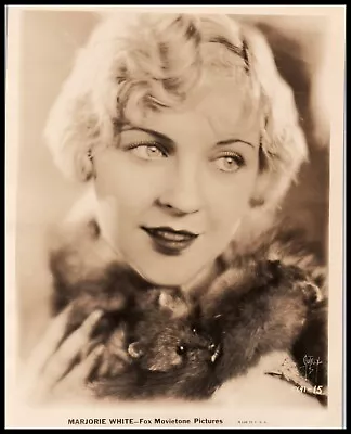 Hollywood Beauty MARJORIE WHITE 1920s ALLURING POSE AUTREY PORTRAIT Photo 700 • $116.99