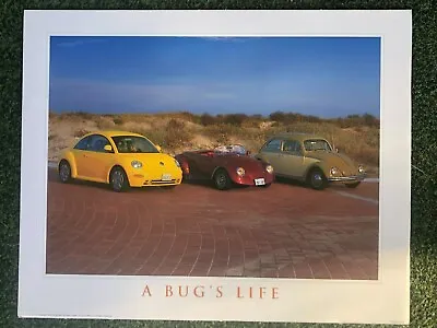 Impact Images Volkswagen VW Beetle 16 X 20  Poster NEW • $10