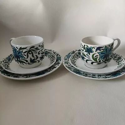 Midwinter Spanish Garden Jessie Tait Marquis Of Queensberry 2 Cups Plates Saucer • £14.99