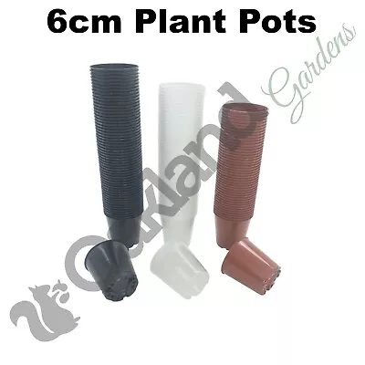 6cm Plant Pots Small Strong Flower Orchid Pot Cactus 2.5  Chilli • £5.15