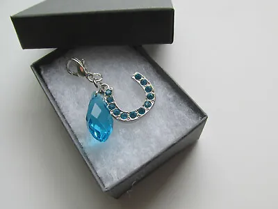 £4.99 • Buy Perfect Wedding Gift For The Bride - Aqua Blue Crystal Horseshoe & Drop Charm