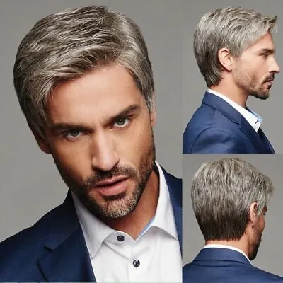 Mens Synthetic Wig Natural Gray Short Hair Man Party Cosplay Hairstyle Full Wigs • $15.58