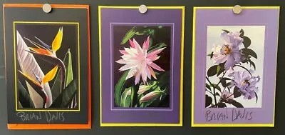 Brian Davis Set Of 3 Autographed Greeting Cards 1984 NICE ART*Hollywood Posters* • $149