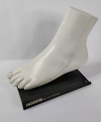 Vtg Medical Model Anatomical Foot  Podiatry Merck Sharp Dohme Pharmaceutical • $47