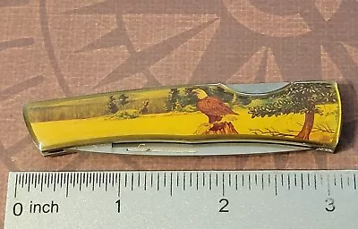 CASE XX Knife Made In USA 1992? Lockback Bald Eagle Picture Handle Vintage • $49.99