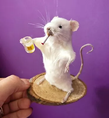 Taxidermy Mouse Funny Beer And Cig Gift For Him Unusual Smoker Oddities • £35