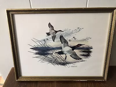 Vintage JAMES LOCKHART Mallard DUCK Color Print FRAMED 9 X 11.5 • $7.49