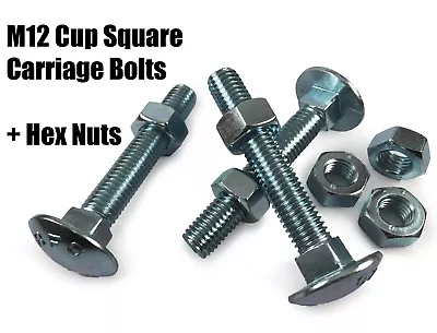 M12 Cup Square Carriage Bolts With Hex Nuts Coach Screw Zinc Plated TIMco DIN603 • £5.85