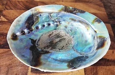 Giant Abalone Shell Cleaned With Smooth Edge For Smudging • £24.98