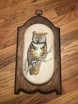 Vintage Owl Painting/Wood Burned • $18